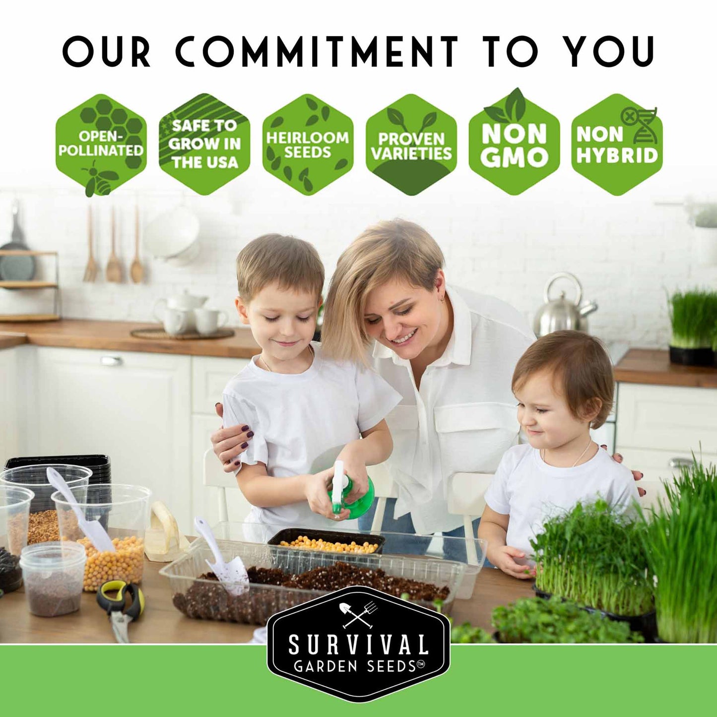 Microgreens Seeds Variety Pack – 5 Heirloom Non-GMO Microgreen Seed Packs for Indoor Growing & Sprouting