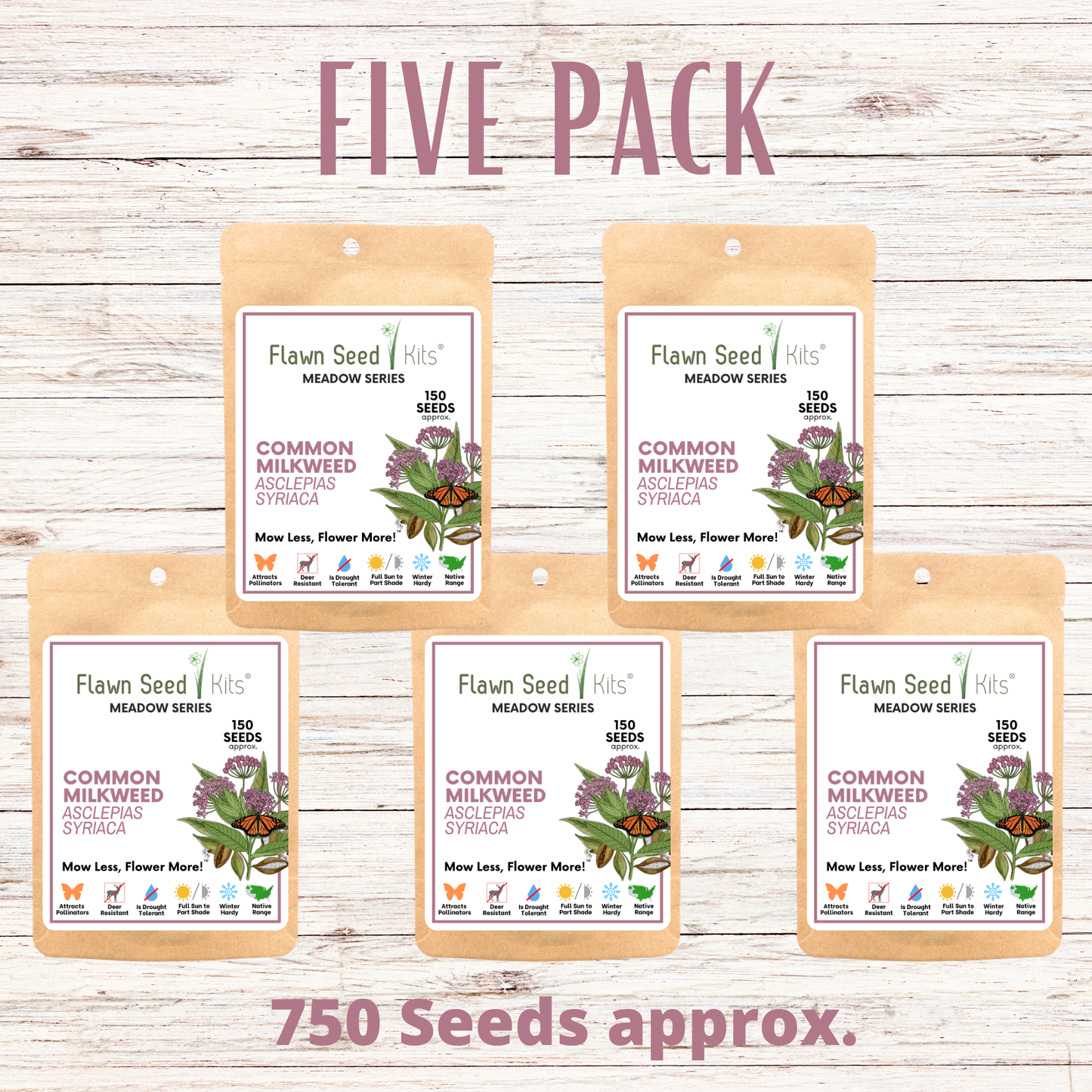 Common Milkweed Seed Pouch