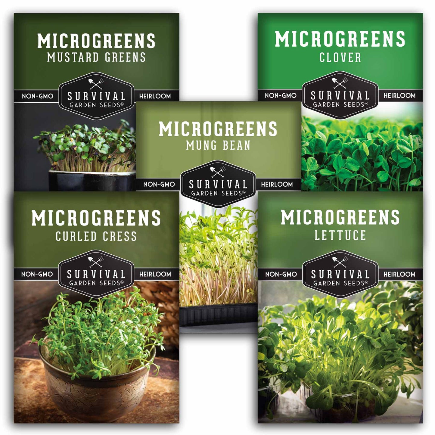 Microgreens Seeds Variety Pack – 5 Heirloom Non-GMO Microgreen Seed Packs for Indoor Growing & Sprouting