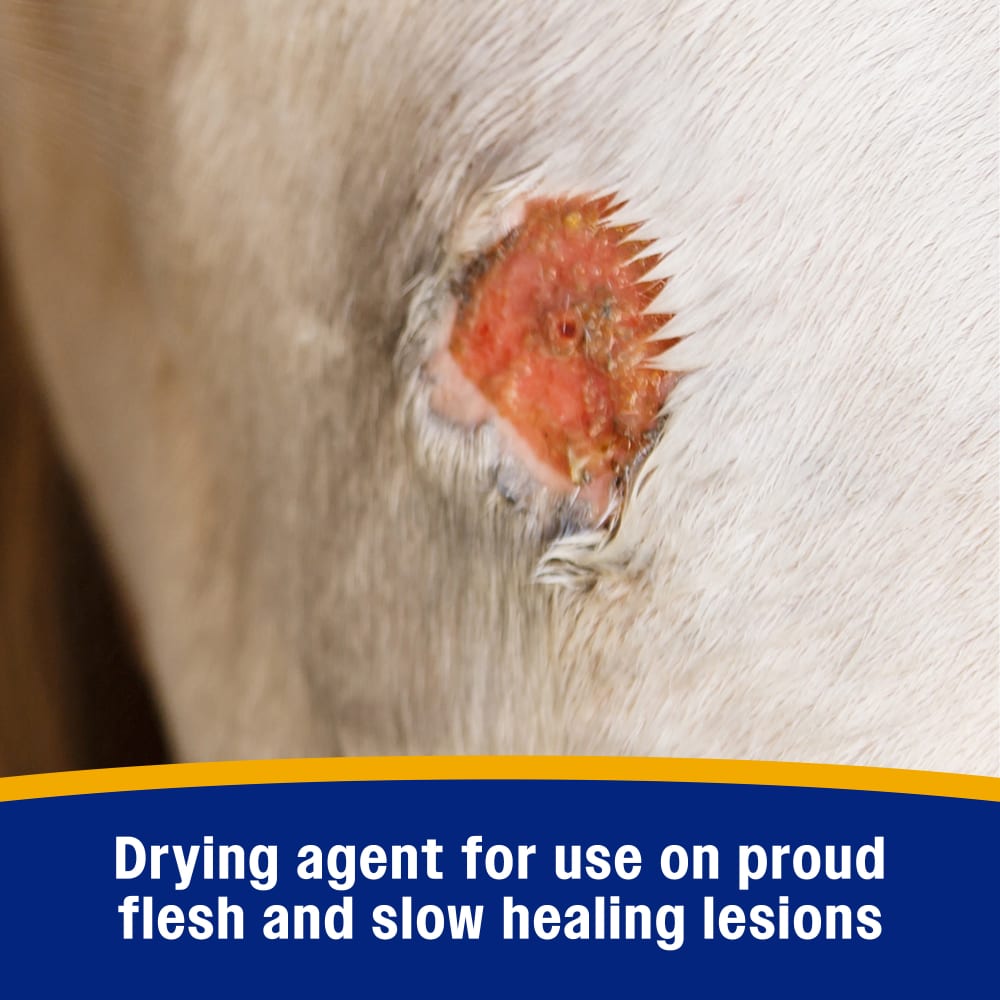 Farnam Wonder Dust Wound Powder for Horses and Show Stock 4 oz.