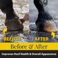 Fiebing's Hoof Dressing Treat Horse Hooves and Brittle Feet 32 oz. 3-Pack