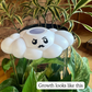 Carl the Cloud