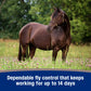 Farnam Tri-Tec 14 Horse Fly Repellent Water-Based 14 Day Protection 32 oz.