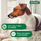 12 Oz Flea & Tick Shampoo for Puppies & Adult Dogs .