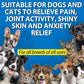 Hemp Oil for Dogs & Cats — Calming, Joint & Skin Support | 60ml Daily Supplement