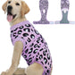 Dog Recovery Onesie Suit After Surgery – 4 Colors, XS–2XL