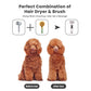 Secador de peluquería para perros pequeños y gatos