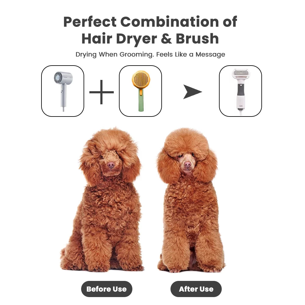 Secador de peluquería para perros pequeños y gatos