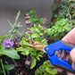 Pruning Shears (6.5" Stainless Steel Curved)