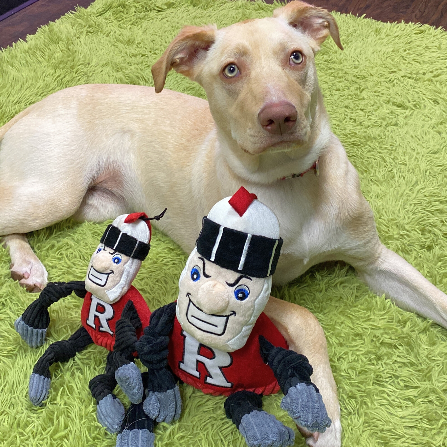 NCAA Rutgers University, Scarlet Knight Knottie® Plush Dog Toy