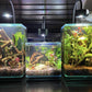 LED Aquarium Light, Planted Tank Light 4 Channels Remote Control