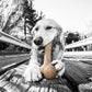 Nylon Dog Bone for Aggressive Chewers