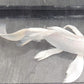 Butterfly koi