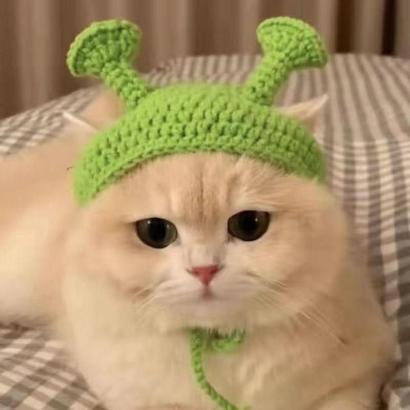 Pet Hat Dog And Pet Headwear Cute 3D Knitted Wool Bonnet Finished Cat Item