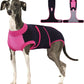 Female Dog Recovery Suit After Spay, XS–2XL