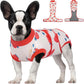 Female Dog Recovery Suit After Spay, XS–2XL