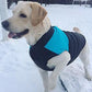 Autumn And Winter Pet Ski Wear Dog Outdoor Coat Vest Breathable Pet Supplies Coat