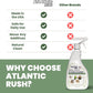 Atlantic Rush Small Animal & Bird Cage Cleaner Spray – 24 oz