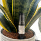 Youthful Essence Roll On