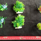 Premium Artificial Aquarium Plant Package for Fish Tank, 6 PACK
