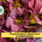 Purple Emperor Nasturtium Seeds – 50+ Dusky Rose Blooms – Trailing Annual for Ground Cover, Hanging Baskets & Containers – USA