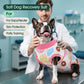Dog Recovery Onesie Suit After Surgery – 4 Colors, XS–2XL