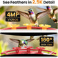 Hummingbird Feeder Camera Solar WiFi 2.5K HD AI Night Vision