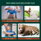 Female Dog Recovery Suit After Spay, XS–2XL