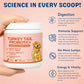 Pet Turkey Tail Mushroom Powder