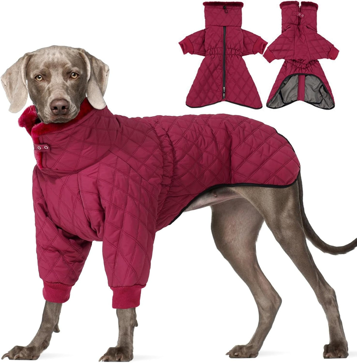 Waterproof Fleece-Lined Dog Snow Jacket, S–3XL