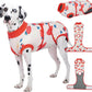 Female Dog Recovery Suit After Spay, XS–2XL
