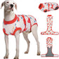 Female Dog Recovery Suit After Spay, XS–2XL