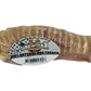 6" Beef Trachea Bone