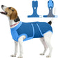 Female Dog Recovery Suit After Spay, XS–2XL
