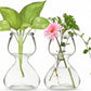 Plant Propagation Stations - Clear Glass Bud Vases (Set of 2)