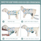 Female Dog Recovery Onesie Suit After Spay – 3 Patterns, S–2XL