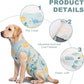 Female Dog Recovery Onesie Suit After Spay – 3 Patterns, S–2XL