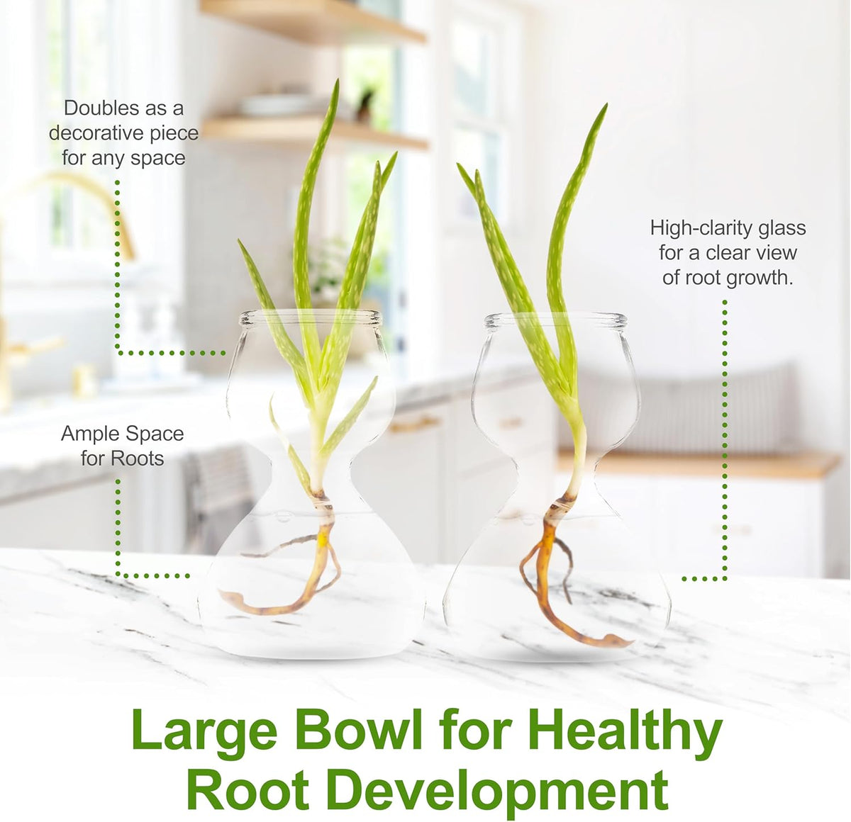 Clear Glass Bud Vases - Propagation Stations (Set of 8)