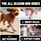 LED Light-Up Dog Boots – 4-Pack, 3 Sizes, 2 Colors