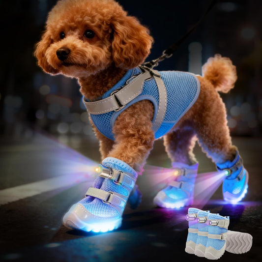 Botas para perro con luces LED – paquete de 4, 3 tamaños, 2 colores
