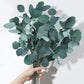 White Eucalyptus - REED DIFFUSER  – Fresh Clean Aromatherapy Scent -- by Moon Water Apothecary!