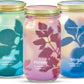 Garden Jars - Organic Herbs