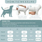 Female Dog Recovery Onesie Suit After Spay – 3 Patterns, S–2XL