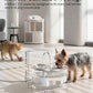 Glass Pet Water Fountain 108 oz for Cats & Small-Medium Dogs, Quiet Pump