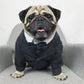 Pet wedding suit