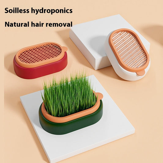 Lazy Soil-free Hydroponic Planting Wheat Seed Cultivation Cat Grass Basin