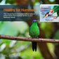 Hummer’s Galore Hummingbird Nectar Mix – Makes 64 oz