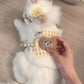 Cat Clothes Autumn And Winter Style Anti-shedding Warm Fleece Clothing