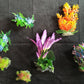Premium Artificial Aquarium Plant Package for Fish Tank, COLOR HEAVEN