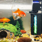 75-200 Gallon Aquarium UV Filter 300GPH Submersible Green Clean